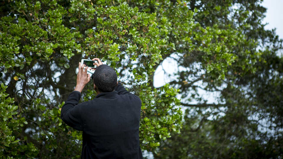 man photographing tree