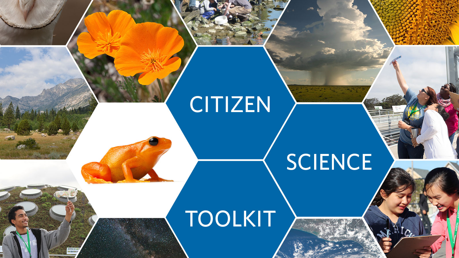 citizen science projects research